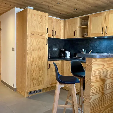 Lumineux 3 Pièces Près Des Pistes, Animaux Admis - Fr-1-811-3 Appartement Les Deux Alpes