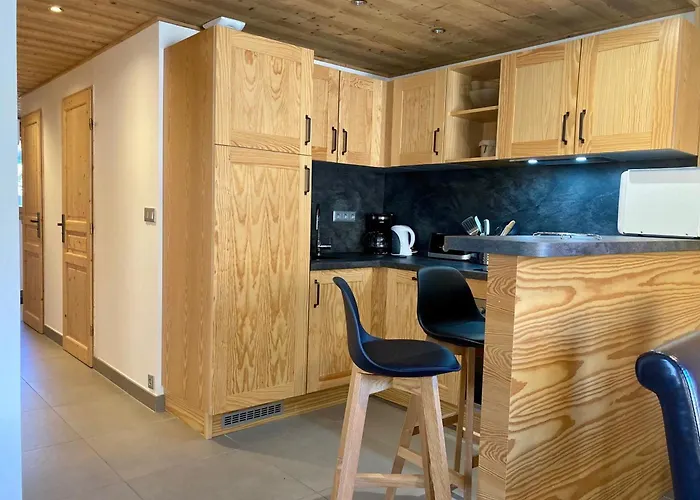 Lumineux 3 Pieces Pres Des Pistes, Animaux Admis - Fr-1-811-3 Apartment Les Deux Alpes